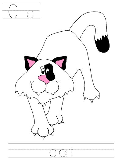 cat tracer page