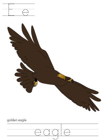 eagle tracer pages
