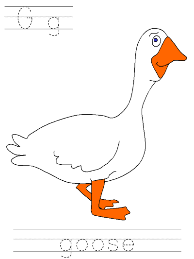 goose tracer page