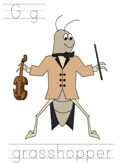 grasshopper tracer page