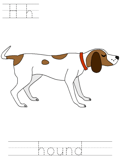 hound tracer page