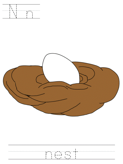 nest tracer pages