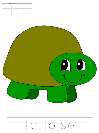 tortoise tracer page