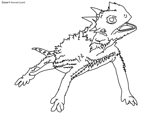 Lizard coloring page