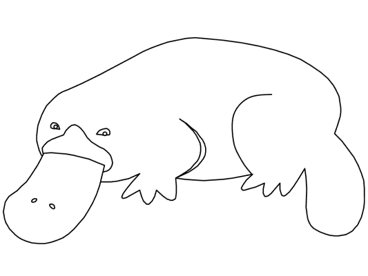 platypus coloring page