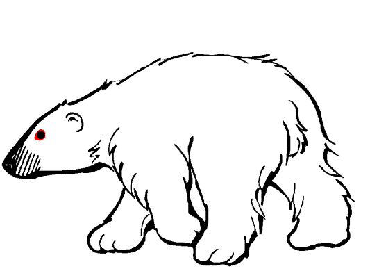 polar bear coloring page