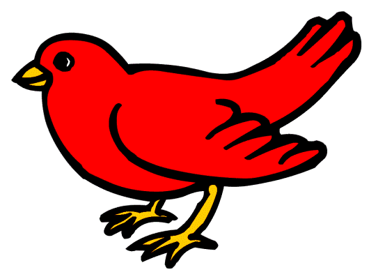 bird coloring page