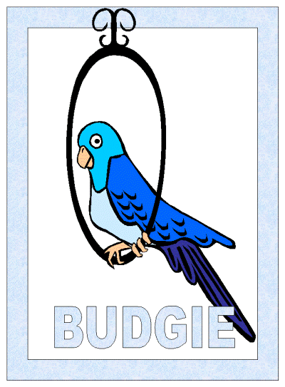animal coloring page