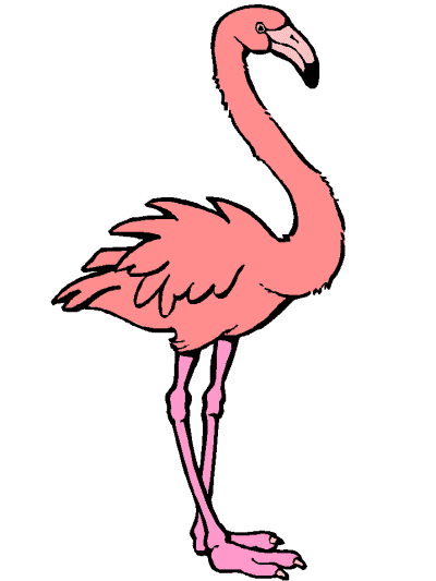 flamingo coloring page