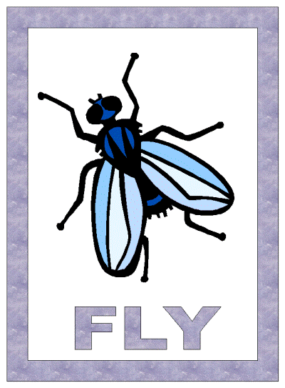 fly coloring page
