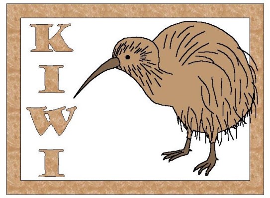 australian kiwi coloring page