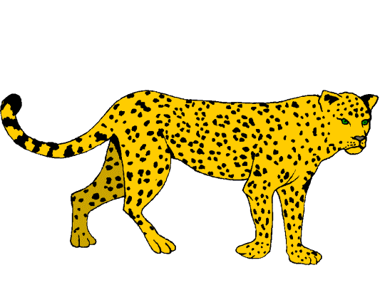 leopard coloring page