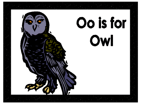 owl poster
