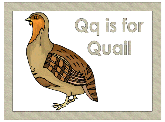 quail coloring page