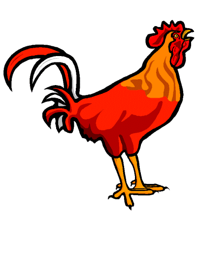 rooster coloring page