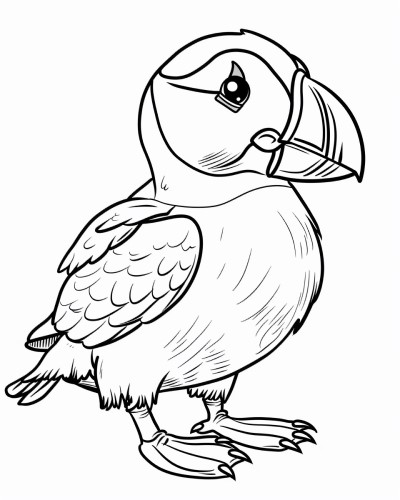 puffin coloring page