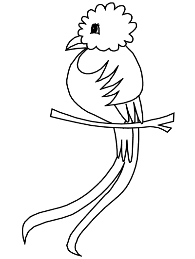 quetzal coloring page