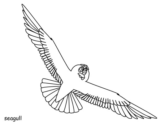 California Seagull coloring page
