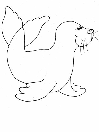 seal coloring page