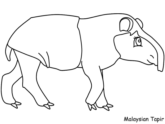 tapir coloring page