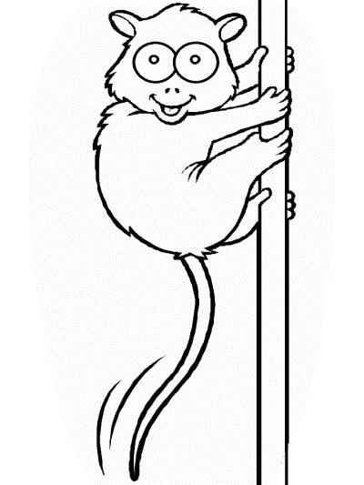 tarsier coloring page