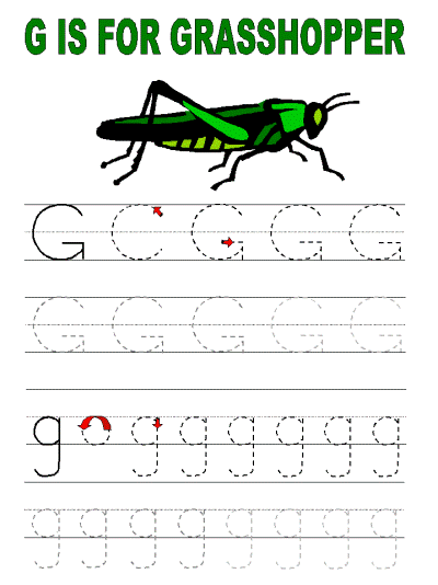 grasshopper tracer page