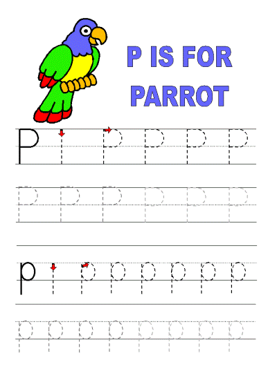 parrot coloring page