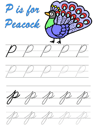 peacock tracer page