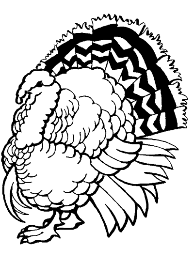 turkey coloring page