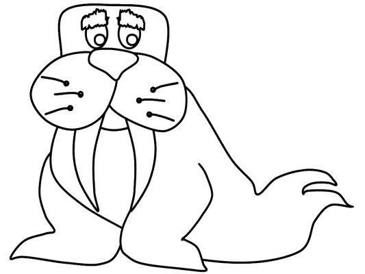 walrus coloring page