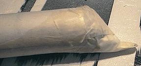 dolphin craft