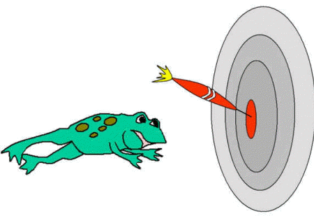 frog riddles