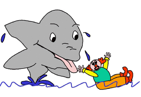 shark riddles