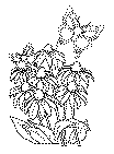 digimon coloring pages (posters)