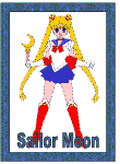 sailor moon poster