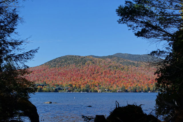 Adirondack Autumn Leaves
