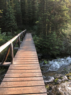 Footbridge on the lake circuit trail.
