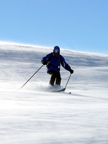 Skiing and Snowboarding: Skier