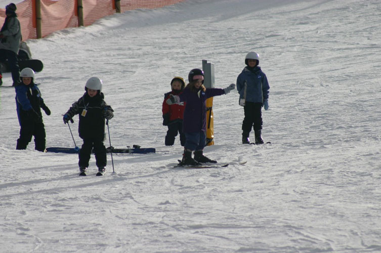 Skiing and Snowboarding: Skiing Lessons