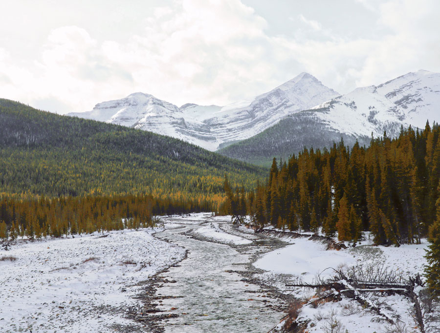 Trip to Little Elbow Provinical Park, Kananaskis