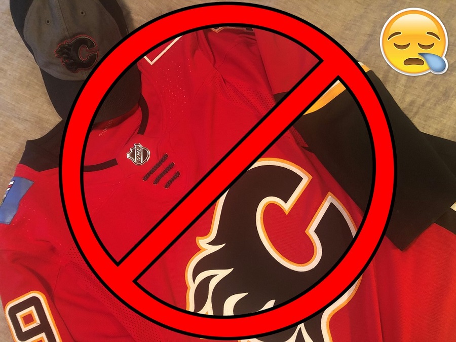 The NHL suspended the hockey season. No hockey games.