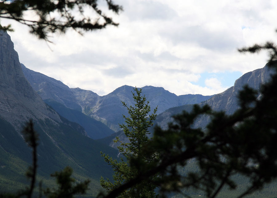 View from the Mount Lady MacDonald hike near Canmore, AB.