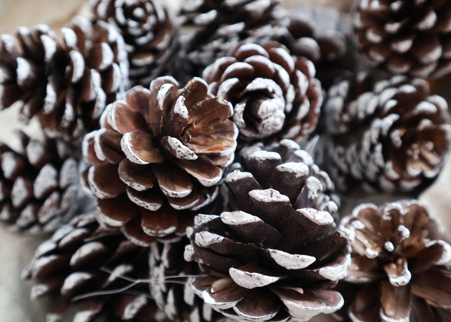 Decorating: Winter Pine Cones