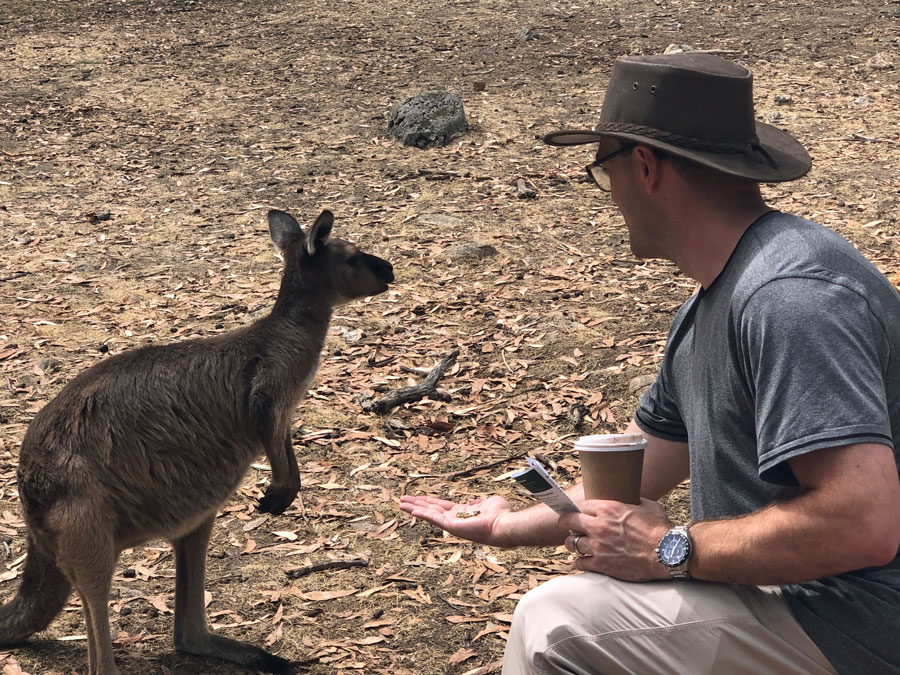 Cappuccino and kangaroos in Cleland Wildlife Park.