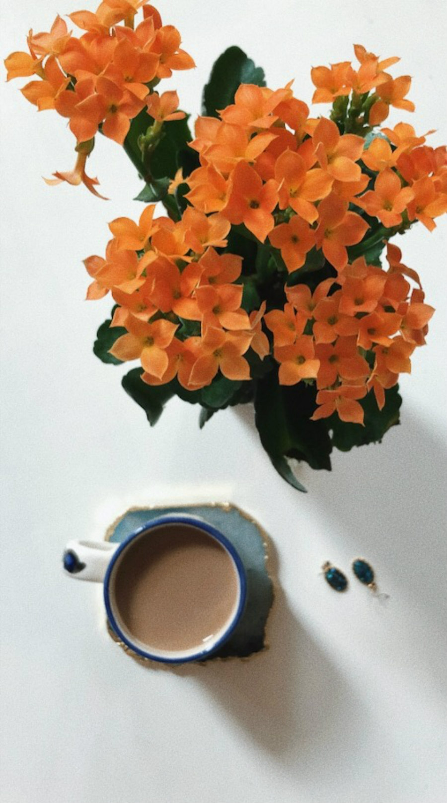 farmers market flowers