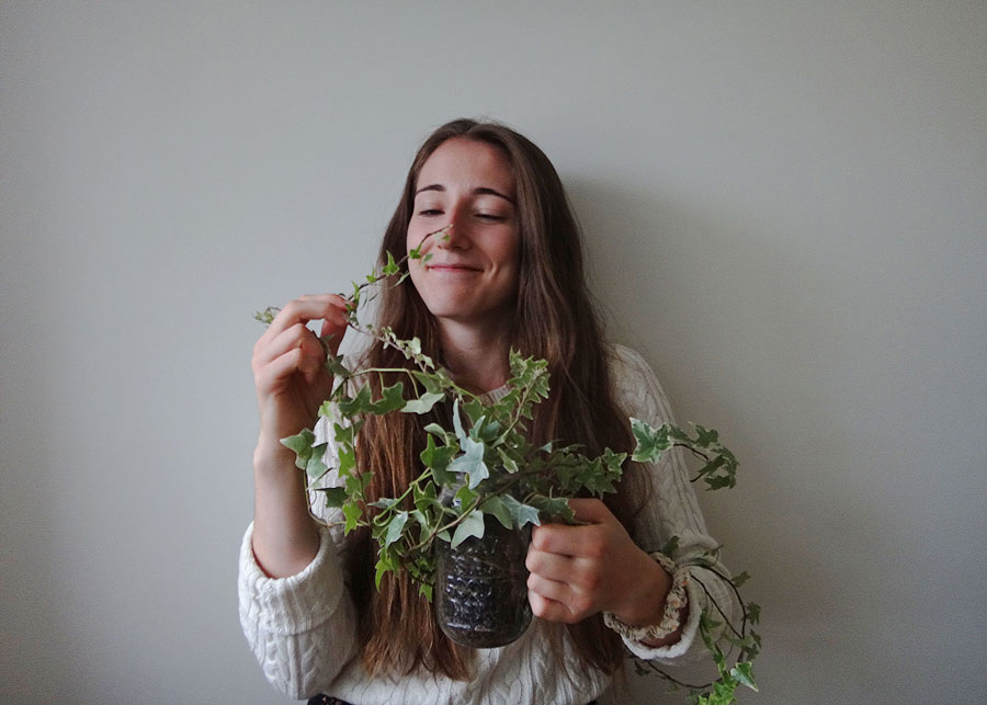 English Ivy