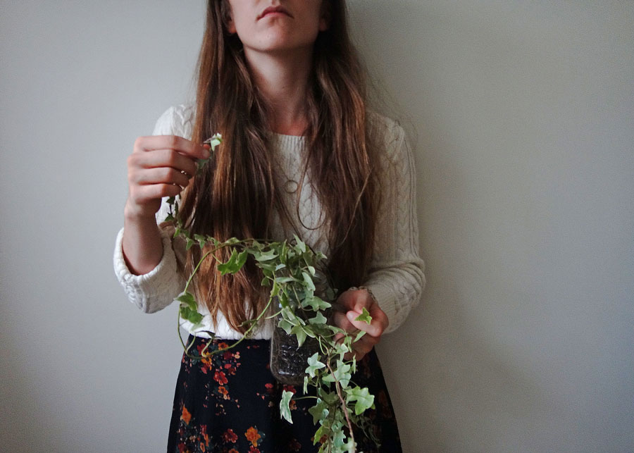 English Ivy