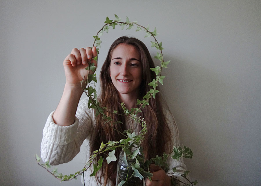 English Ivy