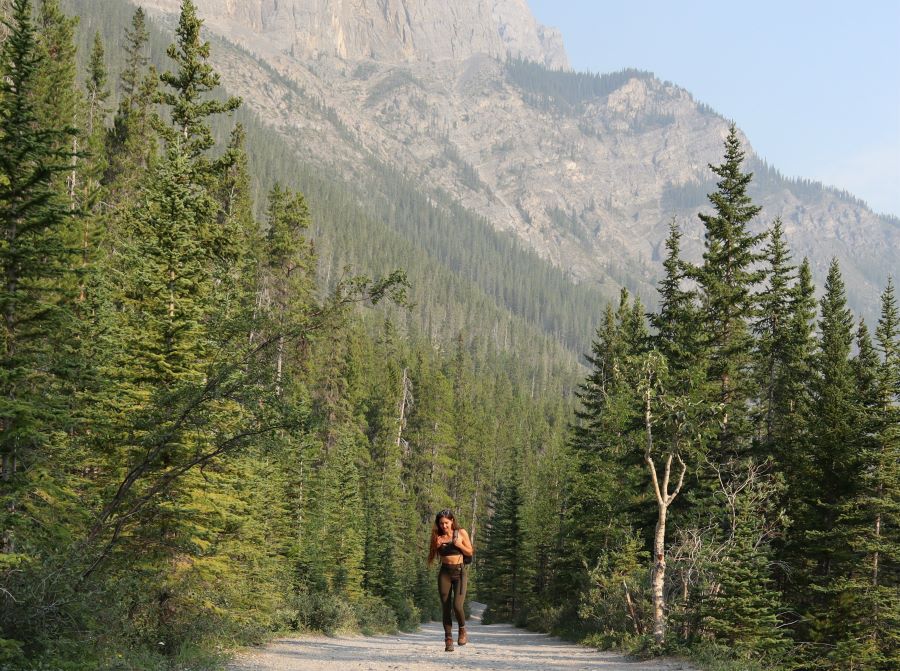hiker walking amidst pine trees on a hiking trail in Grassi Lake, Canmore, Alberta, Canada, in front of a mountain landscape