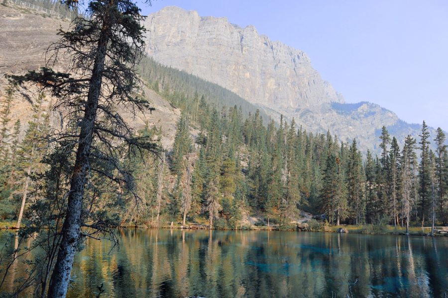 Grassi Lake with clear blue and green water reflecting the pine trees above backed by a mountain landscape and clear blue sky